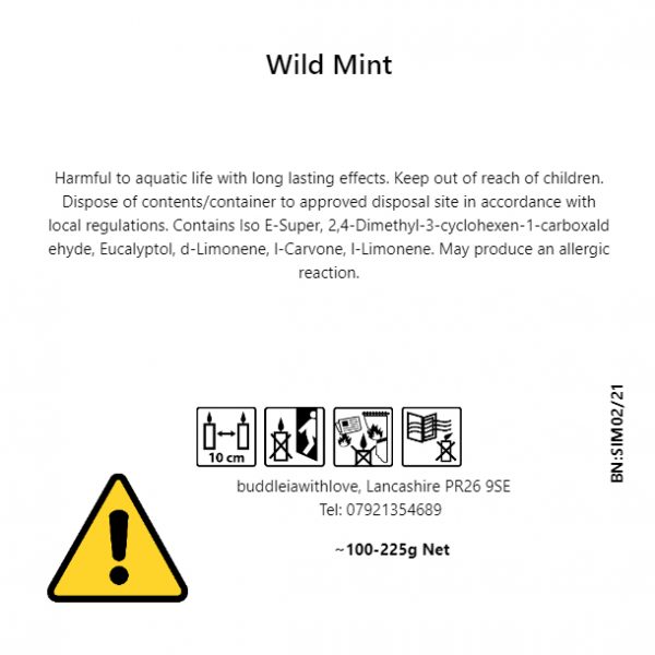 Simplicity (Wild Mint) Candles - Image 4